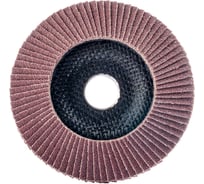 Круг лепестковый Alox Eco 125x22.23 мм, Р60 Interflex 4687203548414