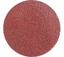 Шлифовальный круг AP311F 125 мм, на липучке, без отверстий, Р220, 5 шт Interflex 3133223000-5