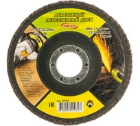 Лепестковый абразивный диск (115х22,2 мм; зерно 80) Ziflex 563403