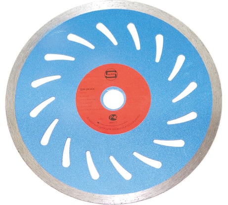 Диск с перфорацией PRO 200x25.4x10 мм, стд-174 Strong СТД-17400200