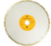 Диск сегментированный ECONOMY 125x22.23x7 мм, стд-178 Strong СTД-17800125