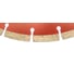 Диск алмазный отрезной TRIO-DIAMOND 350x25.4 New Formula Segment S209 3