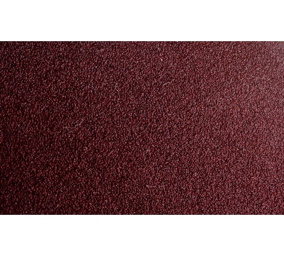 Диск шлифовальный (225 мм; P120; 10 шт.) для TC-DW 225 Einhell 4259921
