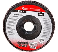 Диск лепестковый торцевой (125х22.2 мм; P40) для УШМ КУРС 39912