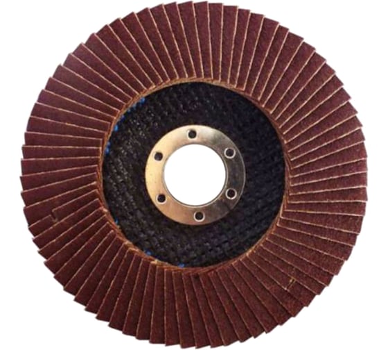 Диск лепестковый плоский (125 мм; P40) Archimedes 91269 1