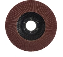 Круг лепестковый торцевой (115х22.2 мм; P100) Vira 559100