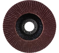 Круг лепестковый торцевой (125 мм; P80) Vira 559180