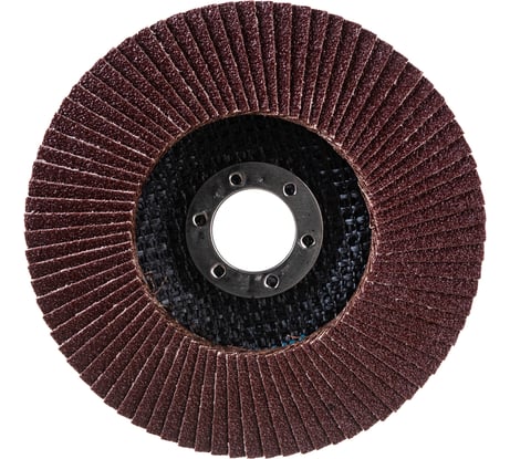 Круг лепестковый торцевой (125 мм; P80) Vira 559180