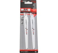 Набор полотен универсальных для сабельной пилы S611DF, 2 шт Strong СТУ-21100611