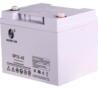 Аккумуляторная батарея SACRED SUN SP12-42 00-00003735