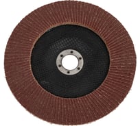 Круг лепестковый торцевой (180 мм; Р80; электрокорунд; коричневый) АТАКА 680880