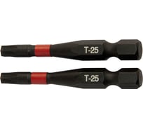 Биты T25, 2 шт, 50 мм, сталь S2, кованые, торсионные, магнит Toolberg ЛК-00011570