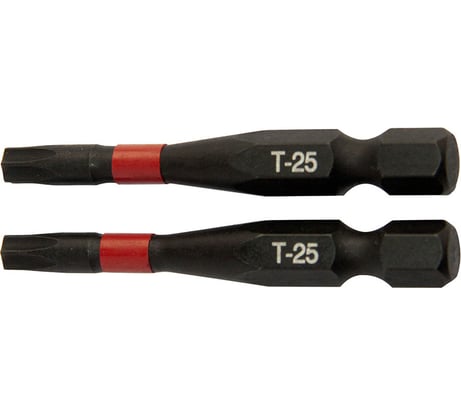 Биты T25, 2 шт, 50 мм, сталь S2, кованые, торсионные, магнит Toolberg ЛК-00011570