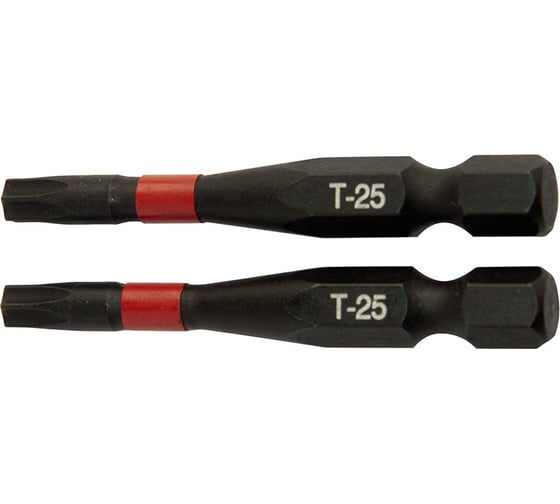 Биты T25, 2 шт, 50 мм, сталь S2, кованые, торсионные, магнит Toolberg ЛК-00011570 1