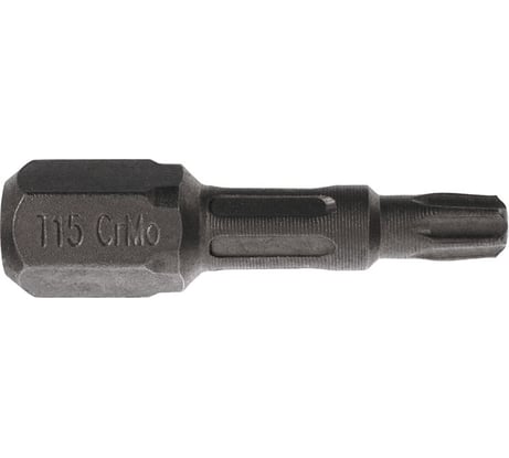 Биты T15, 25 мм, 2 шт, сталь S2, кованые, торсионные, магнит PQTools ЛК-00002946