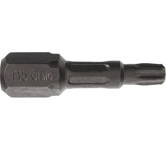 Биты T15, 25 мм, 2 шт, сталь S2, кованые, торсионные, магнит PQTools ЛК-00002946