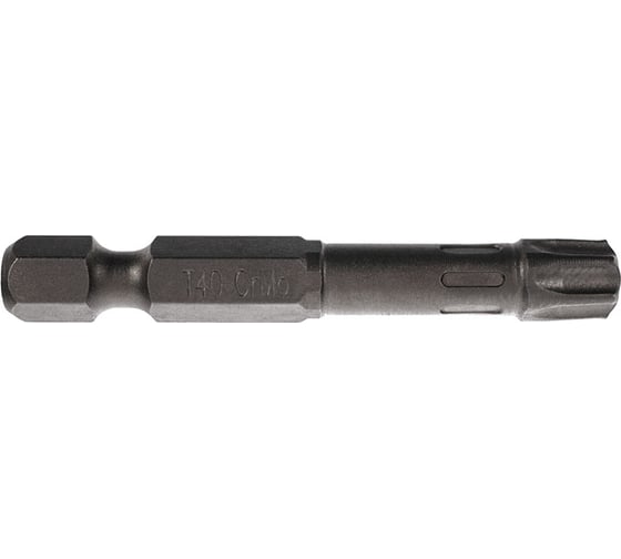 Биты T40, 50 мм, 2 шт, сталь S2, кованые, торсионные, магнит PQTools ЛК-00011569 1
