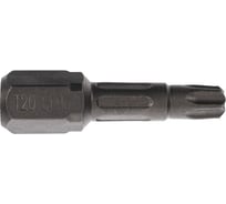 Биты T20, 25 мм, 2 шт, сталь S2, кованые, торсионные, магнит PQTools ЛК-00002947