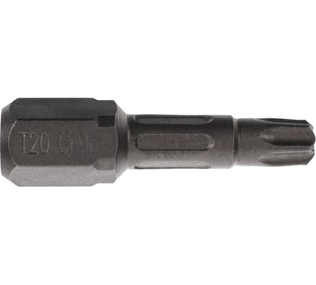 Биты T20, 25 мм, 2 шт, сталь S2, кованые, торсионные, магнит PQTools ЛК-00002947
