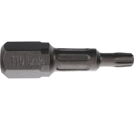 Биты T10, 25 мм, 2 шт, сталь S2, кованые, торсионные, магнит PQTools ЛК-00002945