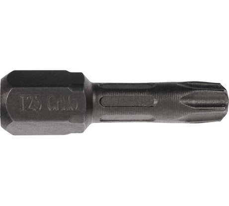 Биты T25, 25 мм, 2 шт, сталь S2, кованые, торсионные, магнит PQTools ЛК-00002948