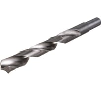 Сверло по металлу (15x169 мм; HSS; хвостовик 13 мм) Энкор 21134