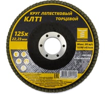 Круг лепестковый торцевой КЛТ1 прямой 125x22 мм, P80, 10 шт MOSTEK 3312508