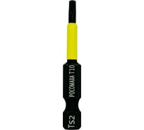 Магнитная ударная бита TORX10, 50 мм, 10 шт РОСОМАХА 331050