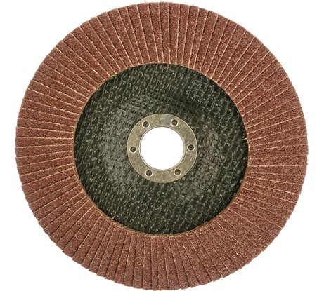 Круг лепестковый торцевой (150х22 мм; Р40) РемоКолор 45-6-240