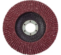 Круг лепестковый торцевой (180х22 мм; Р25) РемоКолор 45-7-025