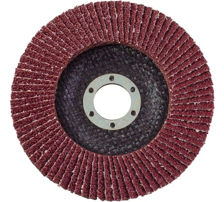 Круг лепестковый торцевой (180х22 мм; Р25) РемоКолор 45-7-025