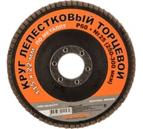 Круг лепестковый торцевой по металлу 115x22 мм, P60 SANTOOL 060203-115-060