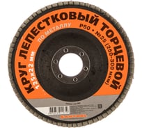 Круг лепестковый торцевой по металлу 125x22 мм, P60 SANTOOL 060203-125-060