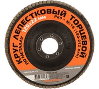 Круг лепестковый торцевой по металлу 125x22 мм, P80 SANTOOL 060203-125-080