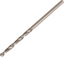 Сверло по металлу (10 шт; 2х24х49 мм) Sturm 1055-04-2S-SS10