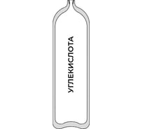 Баллон для углекислоты 8-200Л (ВД / W27,8) ГОСТ 949 УЗГПО 6-8L-200L-2-W27