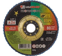 Круг лепестковый торцевой плоский КЛТ1 (150х22 мм; А 24; 14А 80/Р24) Луга 4603347276303