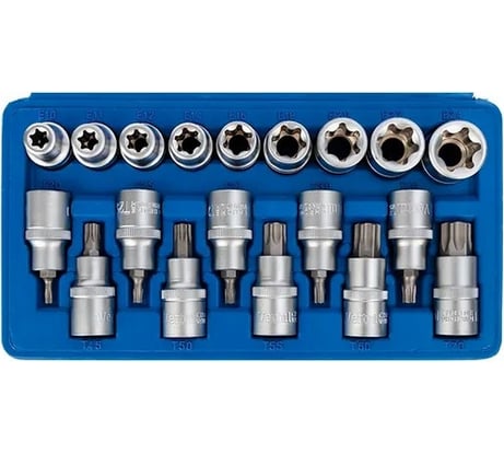Набор головок и головок со вставками TORX 1/2" DR, 19 предметов VERTUL VR50200