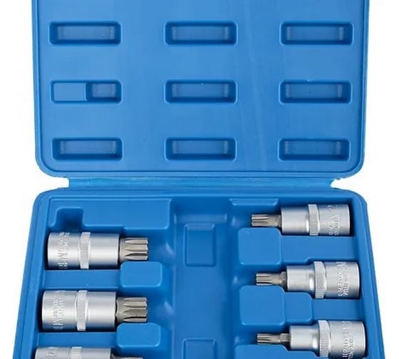 Набор головок 1/2" DR со вставкой SPLINE 55 мм, 6 предметов VERTUL VR50195