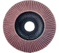 Круг лепестковый Alox Eco 125х22.23 мм, Р80 Interflex 4687203548445