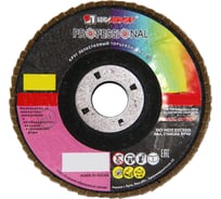 Круг лепестковый торцевой плоский КЛТ1 (180х22 мм; А100; 14А 16/Р100) Луга 4603347276549