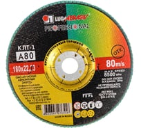 Круг лепестковый торцевой плоский КЛТ1 (180х22 мм; А 80; 14А 20/Р80) Луга 4603347276556