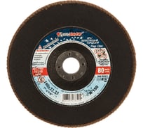 Круг лепестковый торцевой плоский КЛТ1 (180х22 мм; А150; 14А 10/Р150) Луга 4603347276525