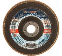 Круг лепестковый торцевой плоский КЛТ1 (150х22 мм; А150; 14А 10/Р150) Луга 4603347276211