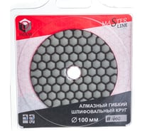 Круг алмазный гибкий шлифовальный АГШК Master Line (100х2 мм; №400; сухая) Diam 000568
