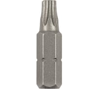 Бита (T15; 25 мм; 2 шт.) Bosch 2609255933
