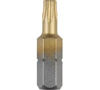 Бита Titanium (T40; 25 мм; 2 шт.) Bosch 2609255946