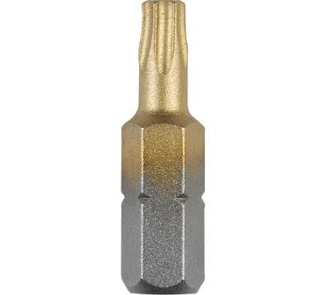 Бита Titanium (T30; 25 мм; 2 шт.) Bosch 2609255945