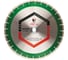 Круг алмазный отрезной по граниту Pro Line (300х60/25.4 мм; 3.2х10 мм) Diam 030645 1