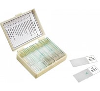 Набор препаратов "Ботаника" (16 обр. для школы) Микромед 22748